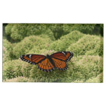 Viceroy Butterfly Beautiful Nature Photography Table Card Holder