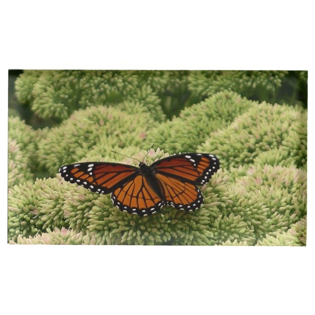 Viceroy Butterfly Beautiful Nature Photography Table Card Holder (Front)