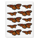 Viceroy Butterfly Beautiful Nature Photography Temporary Tattoos