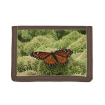 Viceroy Butterfly Beautiful Nature Photography Trifold Wallet