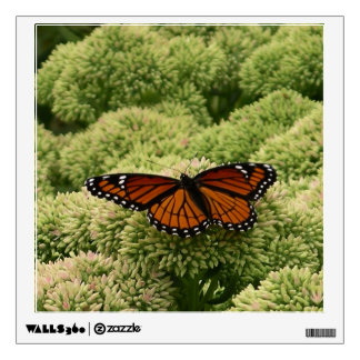 Viceroy Butterfly Beautiful Nature Photography Wall Decal