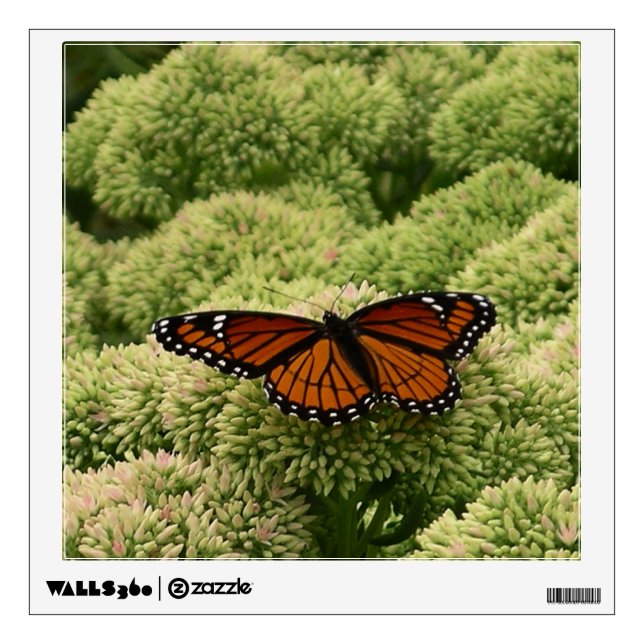 Viceroy Butterfly Beautiful Nature Photography Wall Decal (Front)