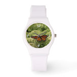Viceroy Butterfly Beautiful Nature Photography Watch