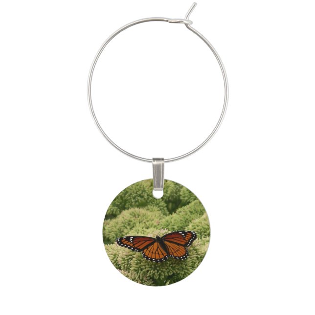 Viceroy Butterfly Beautiful Nature Photography Wine Glass Charm (Front)