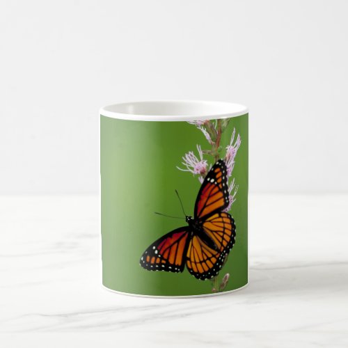 Viceroy Butterfly Coffee Mug