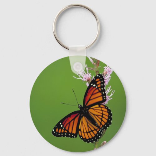 Viceroy Butterfly Keychain