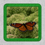 Viceroy Butterfly Patch