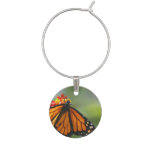 Viceroy Butterfly Wine Charm