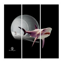 Vicious Chihuahua Chasing Away A Terrified Shark