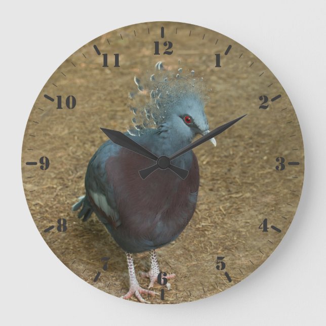 Victoria crowned pigeon large clock (Front)