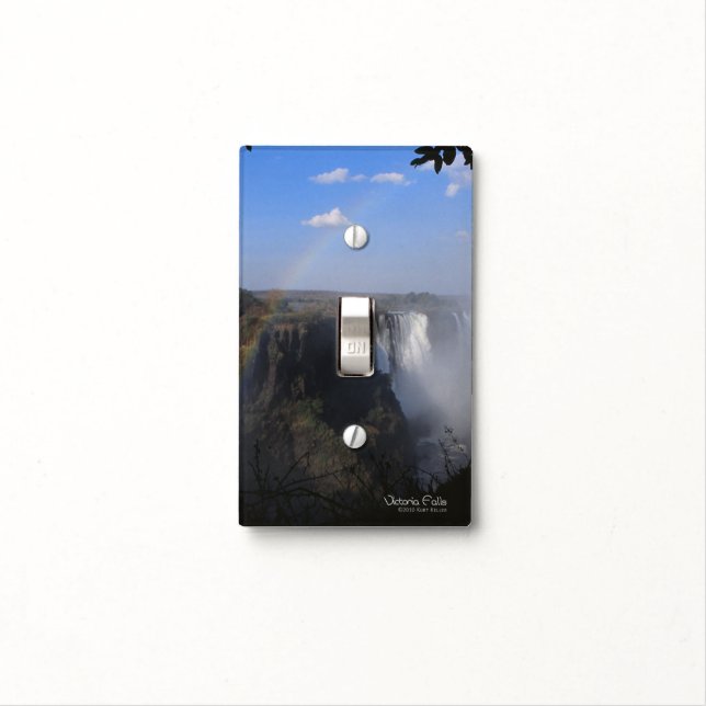 Victoria Fall 1 Light Switch Cover (In Situ)