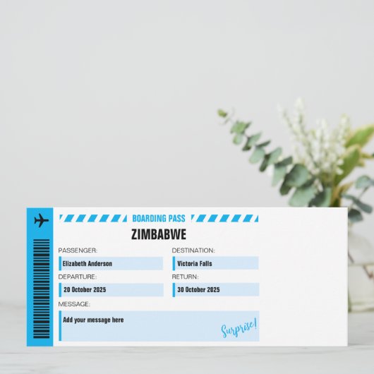 Victoria Falls Surprise Trip Ticket (Standing Front)