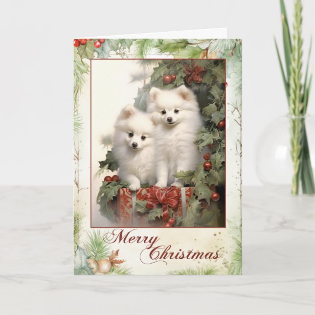 Victorian American Eskimo Puppy Christmas Holiday Card (Front)