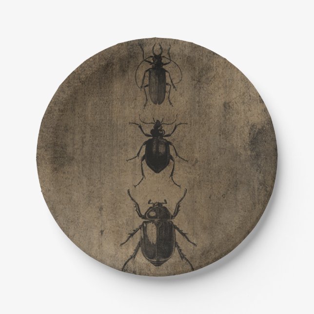Victorian Beetle illustrations Grunge Halloween  Paper Plates (Front)