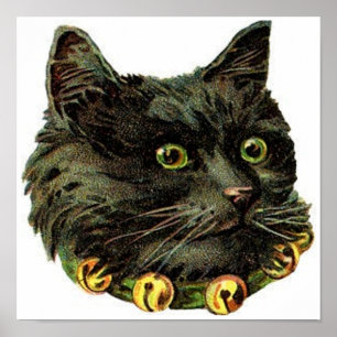 Victorian black cat with bell collar poster