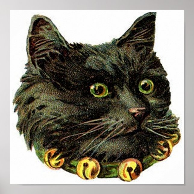 Victorian black cat with bell collar poster (Front)