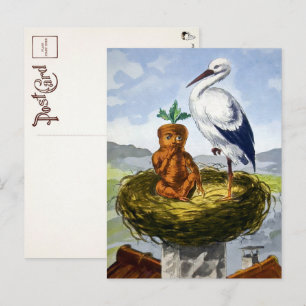 Victorian Carrot Baby in a Nest Postcard 
