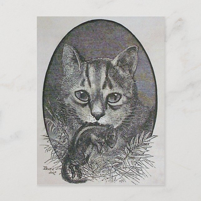 Victorian Cat with Chipmunk Christmas Postcard (Front)