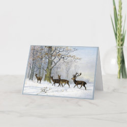Victorian Christmas Deer in Snowy Woods Card