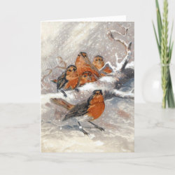 Victorian Christmas Robins Greeting Card