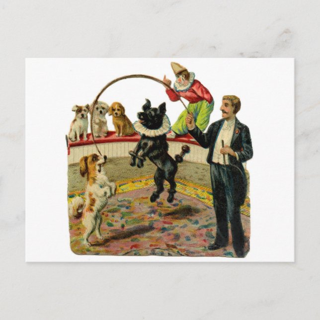 Victorian Circus Dogs, Trainer Clown Postcard (Front)