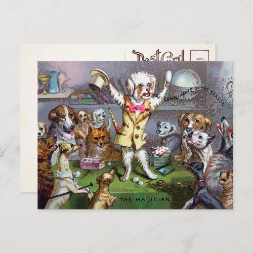 Victorian Dog Magician Postcard
