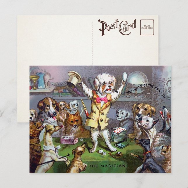 Victorian Dog Magician Postcard (Front/Back)