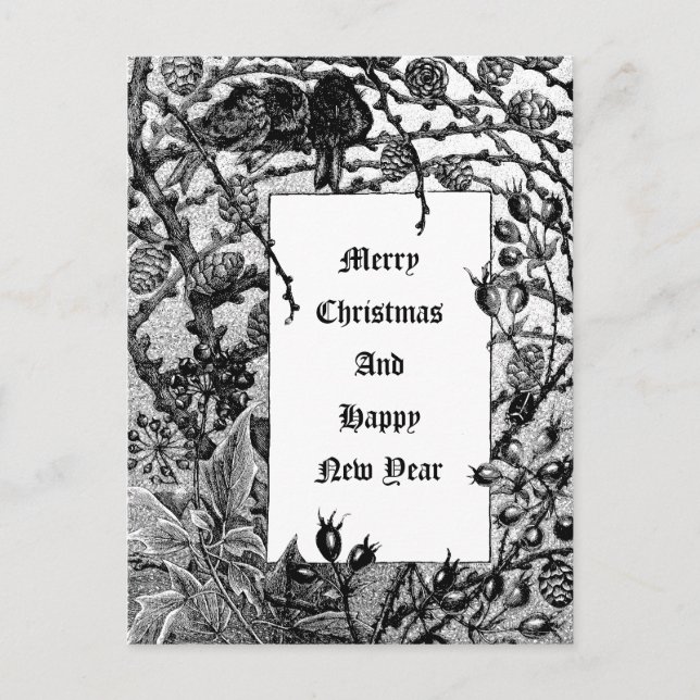 Victorian Era Birds & Winter Berries in Snow  Holiday Postcard (Front)