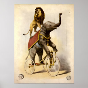 Victorian Era Circus Lion & Elephant on Tricycle Poster