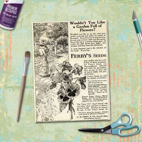 Victorian Era Ferrys Flower Seeds Advertisement  Tissue Paper