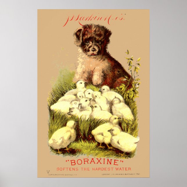 Victorian Era Puppy & Baby Chicks Soap Ad Poster (Front)