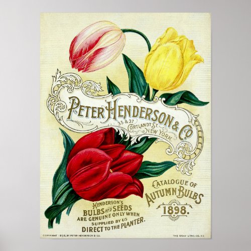 Victorian Era Seed Catalog Cover Art Poster