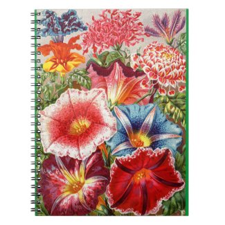 Victorian Floral Spiral Notebook Morning Glory
