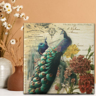 victorian french country modern vintage peacock tile