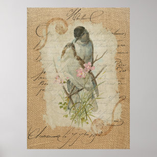 Victorian French Love Birds Love Song Poster