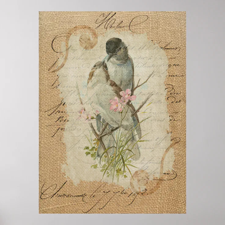 Victorian French Love Birds Love Song Poster | Zazzle