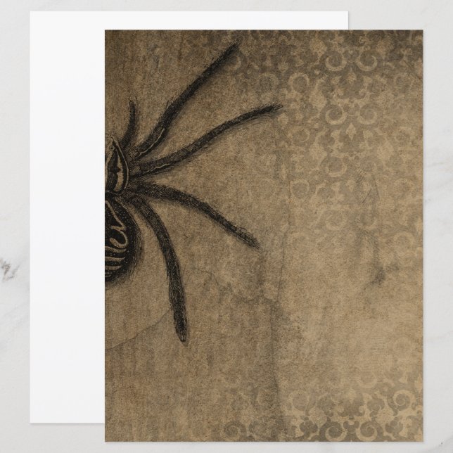 Victorian Halloween Gothic Spider Scrapbook Paper (Front/Back)