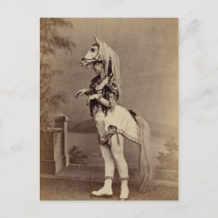 Victorian Horse Costume Daguerreotype/Photo Postcard