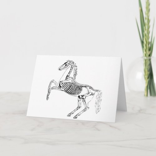 Victorian Horse Skeleton Illustration Card