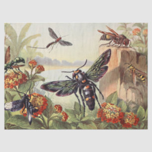 Victorian Insects Amongst Victorian Flowers Tissue Paper