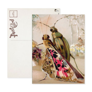 Victorian Insects Postcard