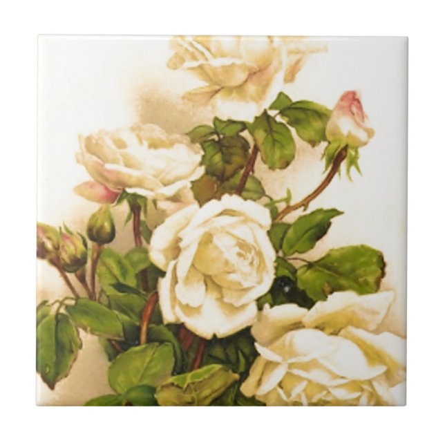 Victorian Ivory Rose Painting Ceramic Tile (Front)