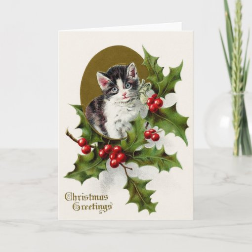 Victorian Kitten and Holly Christmas Greeting Card Zazzle