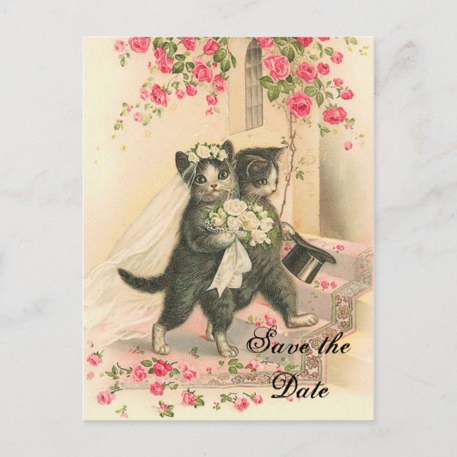 Victorian Kitten Wedding Save the Date Announcement Postcard (Front)