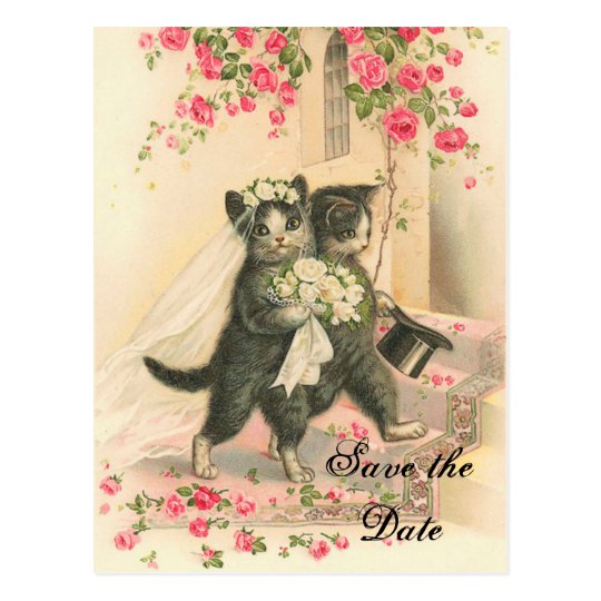 https://rlv.zcache.com/victorian_kitten_wedding_save_the_date_postcard-r5ddf1243fae64ab79c47da6740ed6d63_vgbaq_8byvr_540.jpg
