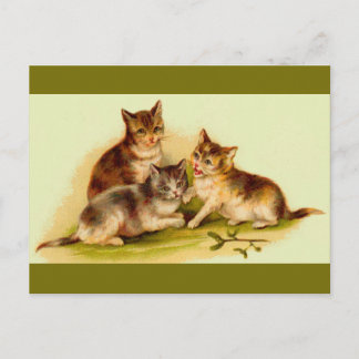 Victorian kittens postcard