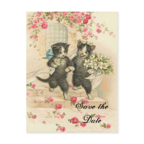 Victorian Kittens Wedding Save the Date Announcement Postcard