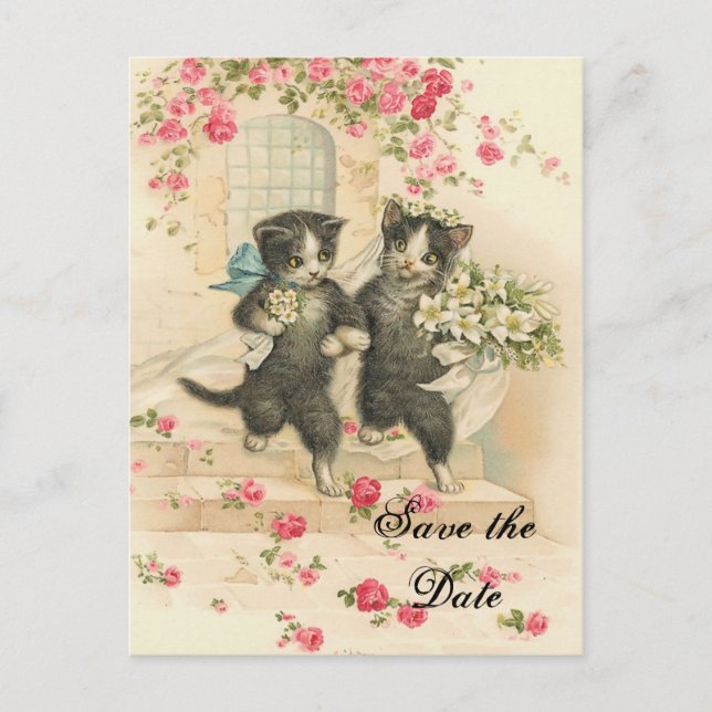 Victorian Kittens Wedding Save the Date Announcement Postcard (Front)