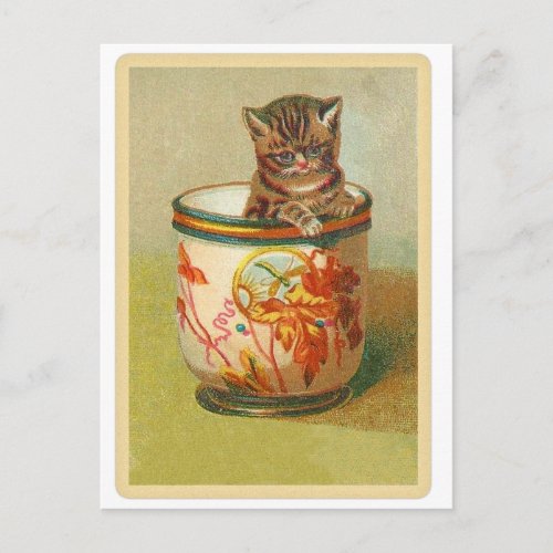 Victorian Kitty in a Teacup Postcard