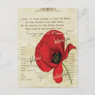 Victorian Language of Flowers Postcard